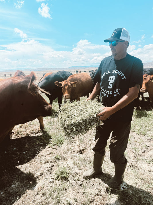 Bull Schitt Cattle Co. Tee Shirt- Black